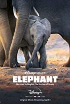 Fil – Elephant (2020) – tr alt yazılı izle